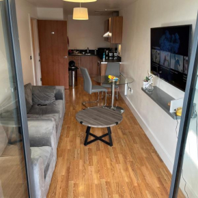 Arcadian 1 Bedroom Luxury Apartment - Parking Inc.